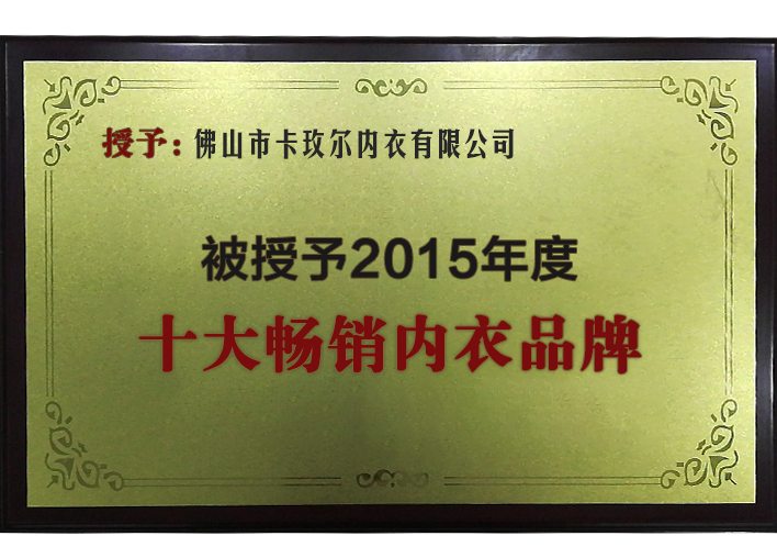 2015年度十大畅销内衣品牌