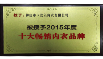 2015年度十大畅销内衣品牌